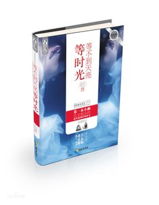 等不到天亮等时光(出书版)